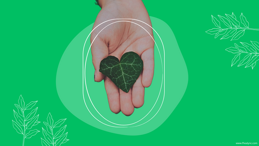 Self-love with nature quotes – A hand holding a heart-shaped green leaf, symbolizing the connection between self-love, nature, and mindfulness, set against a vibrant green background.